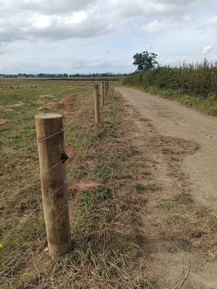 Rural stock fencing across Waikato hills