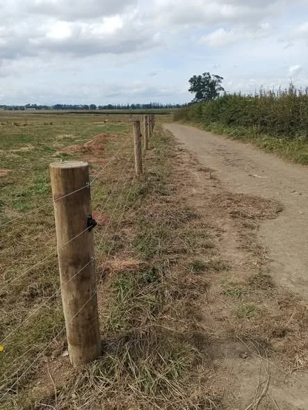 Post and batten across Waikato hills