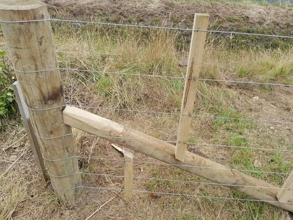 Post and rail fencing at Tatua dairy factory