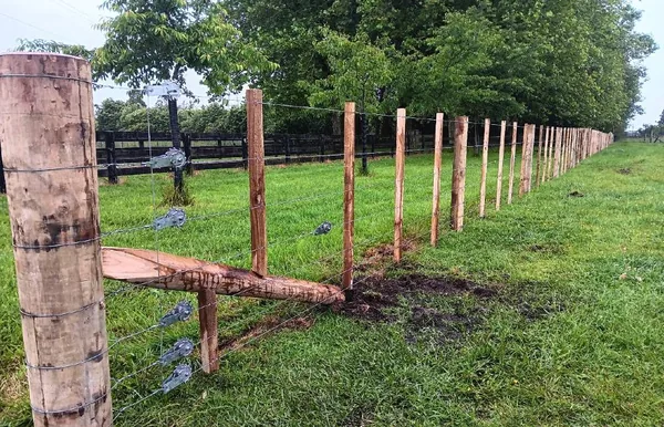 Farm gate and driveway fencing