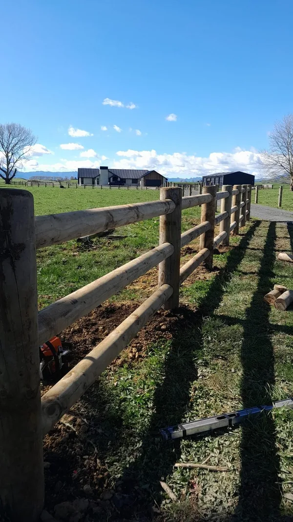 Timber paling boundary fence