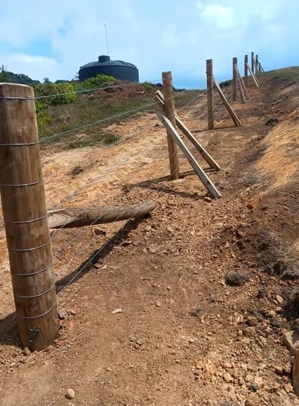 Cattle yard and stock fencing