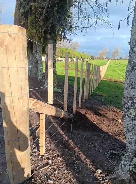Wire and electric fencing detail