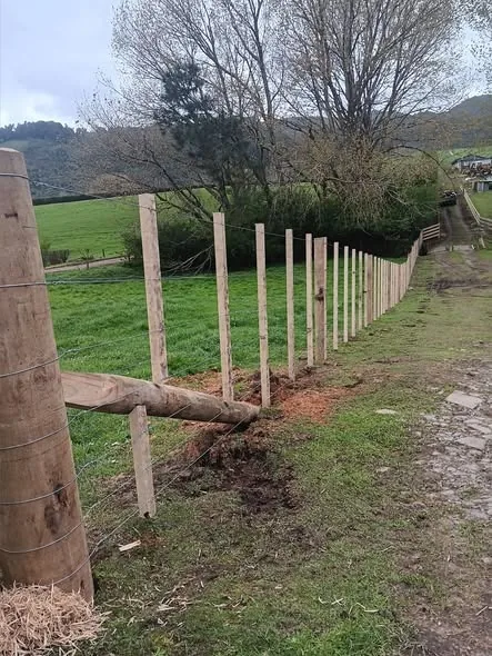 Timber yard fencing